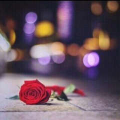 القران الكريم