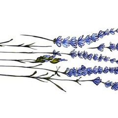 A.A. Bondy - Mightiest of Guns Cover