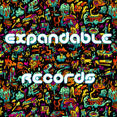 Expandable Records