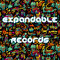 Expandable Records