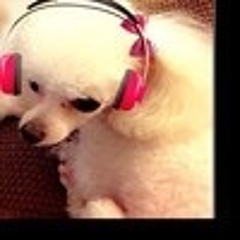 PinKu PinK