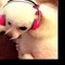 PinKu PinK