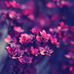secret01