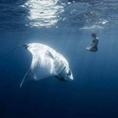 Christopher Valadez 3