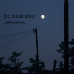 The Blank Slate