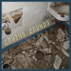 Cowing Zounds