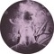 Flesher