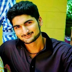Ali Raza Bhand