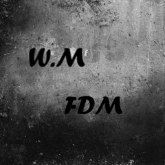 W.M FDM