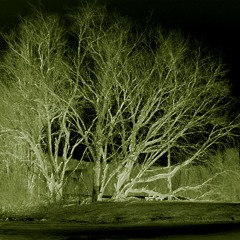 Got News For Ya Jam 1989