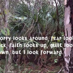 SiLENT LOUD BVSECREW CWPP