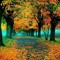 ahmedabodahap