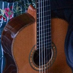 guitarra ressonadora