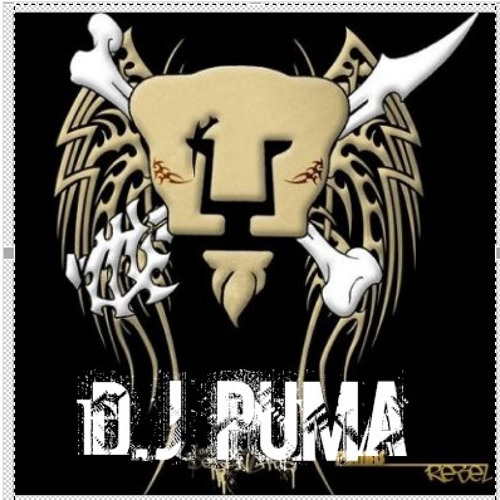 d.j_puma’s avatar