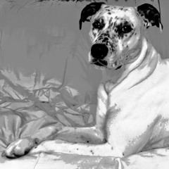 Crystal Alexander 24