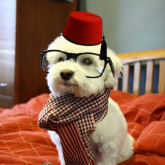Fezzdog