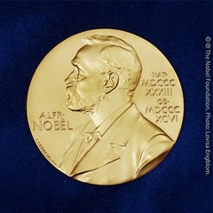 The Nobel Prize