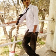 Hadeed Javaid Arain