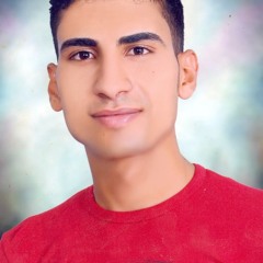 Mohamed El-elaGi 1