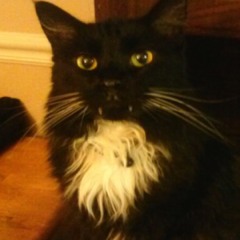 Bernadeth Ann Florentin