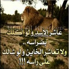 Mohamed Abdelaty 14