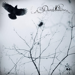 Dark Nature (Guatemala)