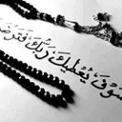 Sherif Sabry 26