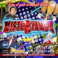 MISTERZAMBA
