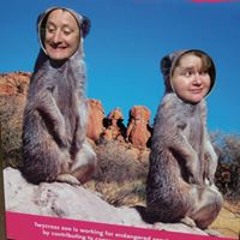 Dean Ecohippy Cleary