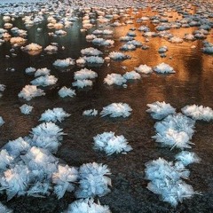 Suchada Katai Pokkrong