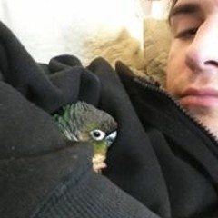 Chandler Scott Dearing