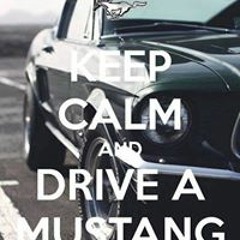 Debra MustangDeb Potts