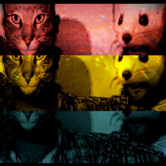 Die Katze und das Wiesel