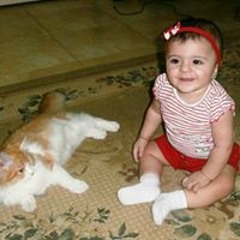 Eslam Mohamed Hussein