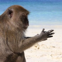 Olivier van der sijs