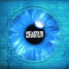 Mahmoud Al Sayed 2
