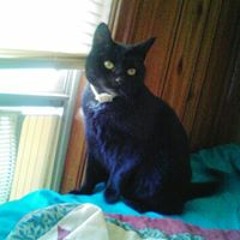 Duckie Lette Chatfield