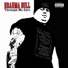 Jeff Brahma Bull McCool