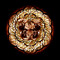 Janus.Tunes