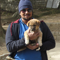 Nagasunder Venkatramani