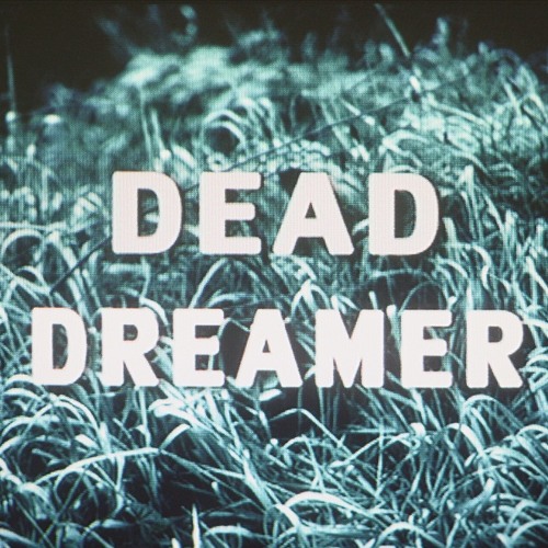 DEAD DREAMER’s avatar