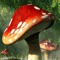 mushrooms