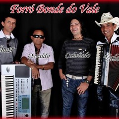 FORRÓ BONDE DO VALE
