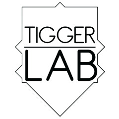 Tigger Lab.