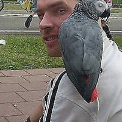 Raymond van der Meulen