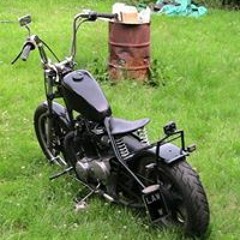 Andy 4664
