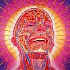 Shane Annigans Morris