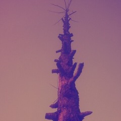 saruulsss