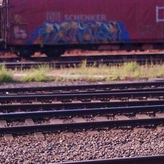 Kasemir Karacktertier