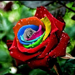 صوت في القلب